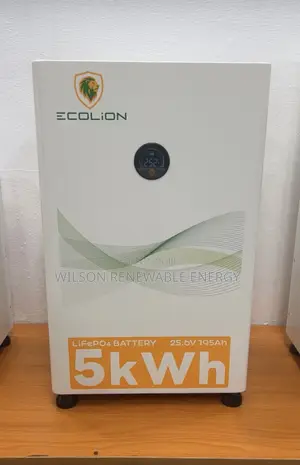 5kwh 24v Ecolion Lithium Battery