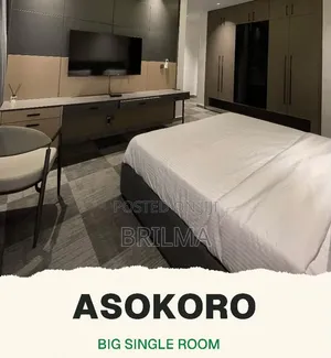 Studio Apartment in Asokoro for Shortlet