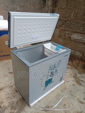 Skyrun BD-250AI Deep Freezer – Maximize Your Frozen Food