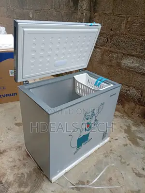 Skyrun BD-250AI Deep Freezer – Maximize Your Frozen Food
