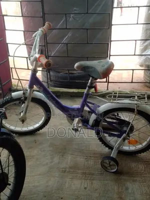 Purple Kids Bicycle With Training Wheels