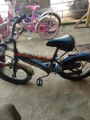 Li-Link Bicycle