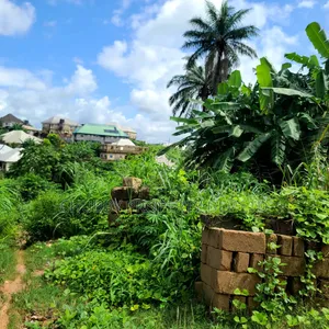 Plots of Land