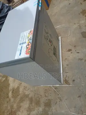 Skyrun BD-250AI Chest Freezer – Practical Freezer for Homes