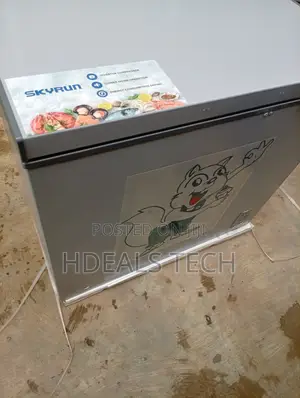 Skyrun BD-250AI Deep Freezer – Spacious Cold Storage With Easy Access
