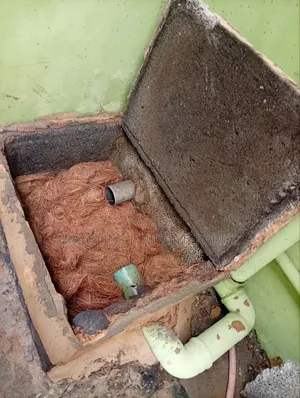 Bio Sewage Digester