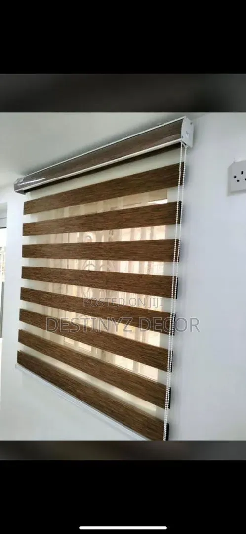 Sophisticated Window Blinds