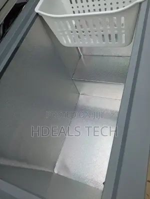 Skyrun BD-250AI Freezer – Dependable Deep Storage