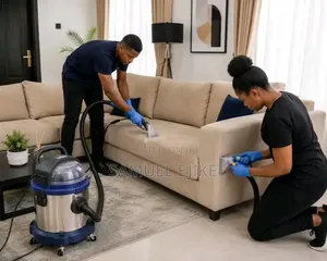 Upholstery Sofa Cleaning Services