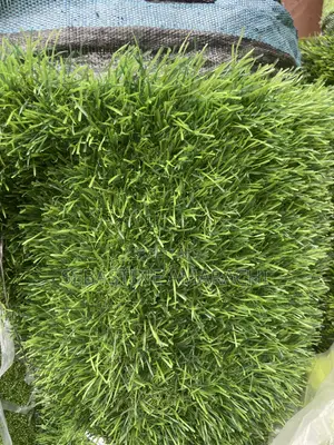 Artificial Carpet