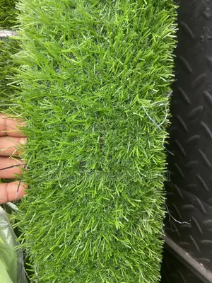 Artificial Carpet