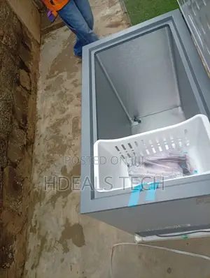 Skyrun BD-250AI Chest Freezer – Ideal for Bulk Food Storage