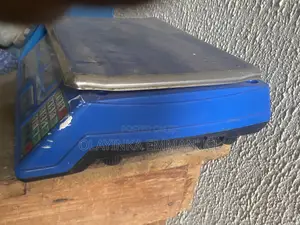 Multiple Weight Scale