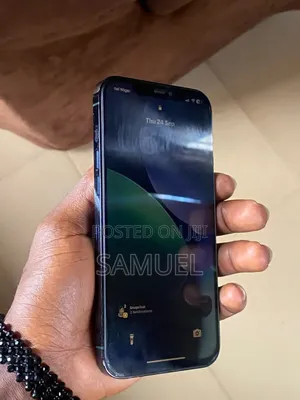 Apple iPhone 12 Pro Max 256 GB Blue