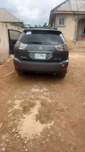 Lexus RX 2004 Gray