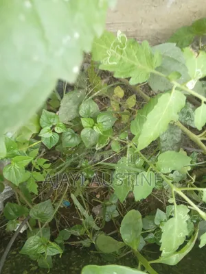 138 Hectares of Land at Karsana South Abuja for Sale