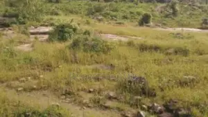 2150.80Sqm Residential Land for Sale in Wawa