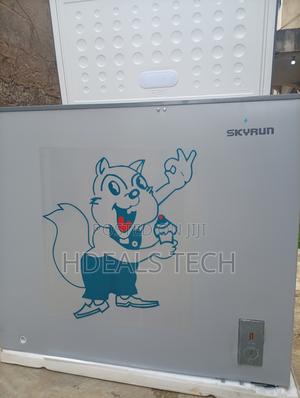 Skyrun BD-250AI Deep Freezer – Store and Preserve