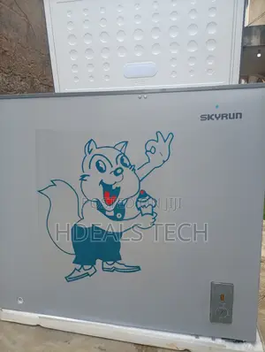 Skyrun BD-250AI Deep Freezer – Store and Preserve
