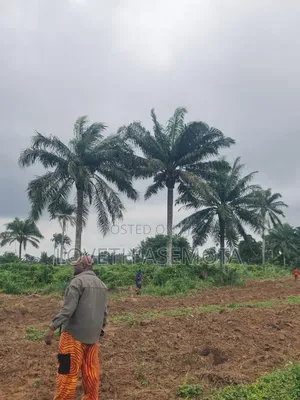Plot Palm Rich Estate Phase 7, Ado-Odo, Ota