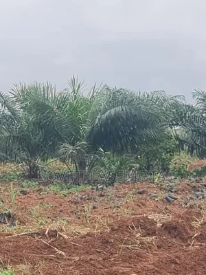 Plot Palm Rich Estate Phase 7, Ado-Odo, Ota