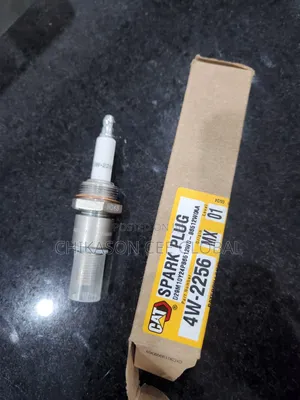 Cat Spark Plug