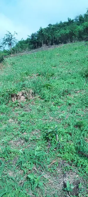 A Plot of Land for Sale at (Abaiyamedi, Ulero Community, Ado Ekiti}.