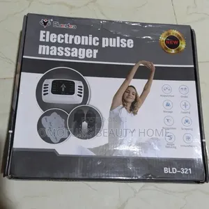Electronic Pulse Massager