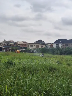 2 Acres and 3 Plots