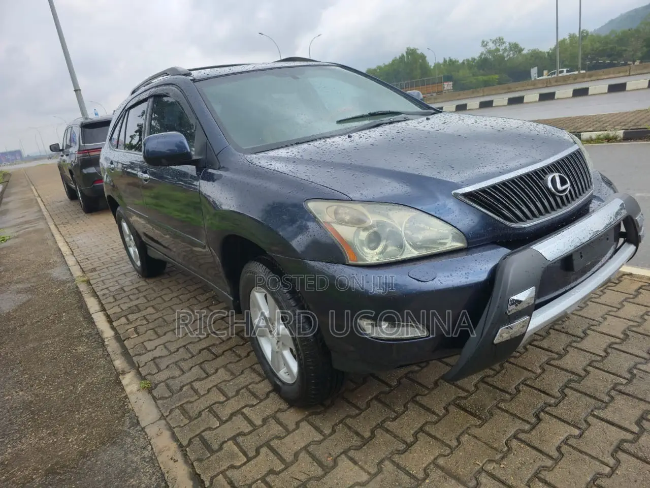 Lexus RX 330 2006