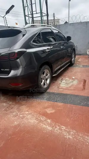 Lexus RX 350 2010 Gray
