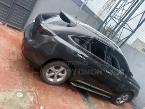Lexus RX 350 2010 Gray