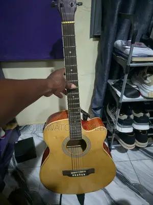 Semi Acoustic Guitar