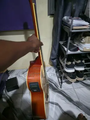 Semi Acoustic Guitar