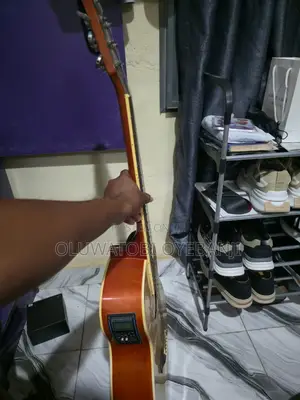 Semi Acoustic Guitar