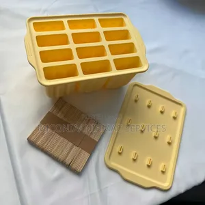 Popsicle Mold