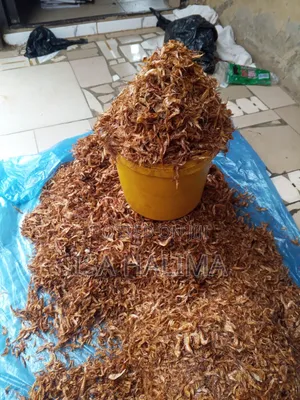 Fresh Oron Crayfish