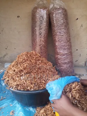 Fresh Oron Crayfish