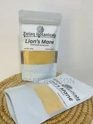 Lion's Mane Brain Tonic 100g