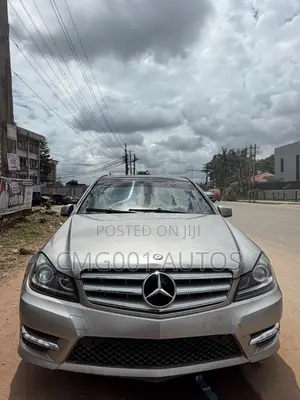 Mercedes-Benz C300 2010 Silver