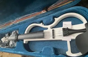 Full-Size 4/4 Electric Violin Set With Hard Case Accessories