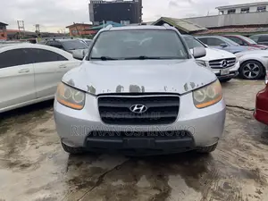 Hyundai Santa Fe 2.7 V6 2009 Silver