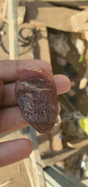 Northern Local Varieties (Jan Dabino)