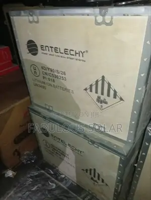5kwh 24v Entelechy Solar Lithium Battery
