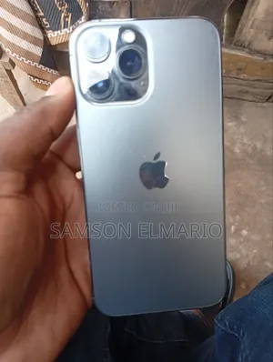 Apple iPhone 13 Pro Max 256 GB Gray