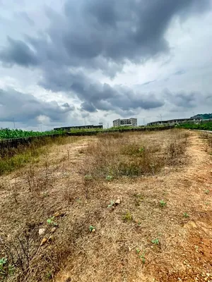 Land for Sale!