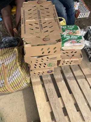 Day Old Chicks for Sale
