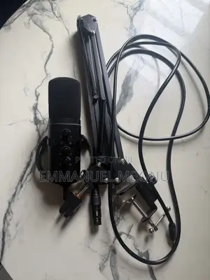 Microphone