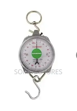 100kg Hanging Scale With Hooks