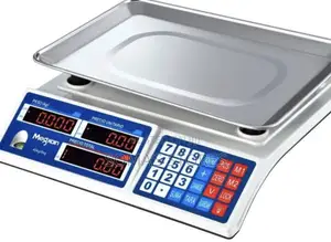 Electronic Price Weighing Scale
